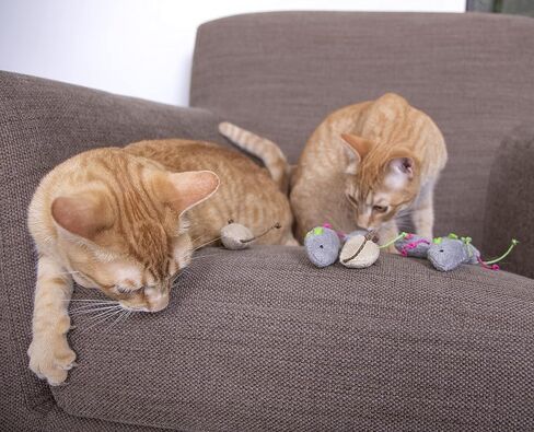 SmartyKat Skitter Critters Value Pack Catnip Cat Toys - Gray/Cream, Set of 10 in Saudi Arabia