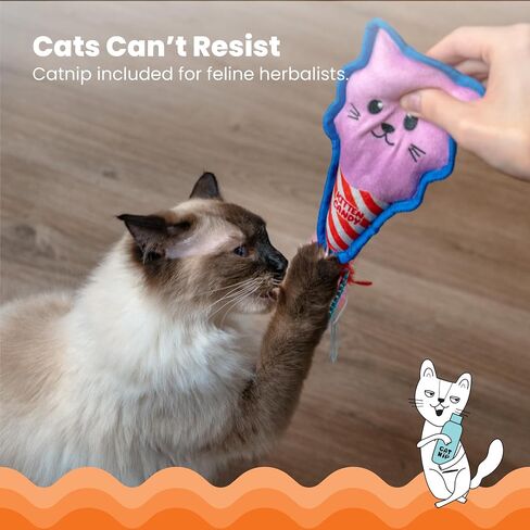 Squeaksqueak Mouse Plush Catnip Cat Toy in Kuwait