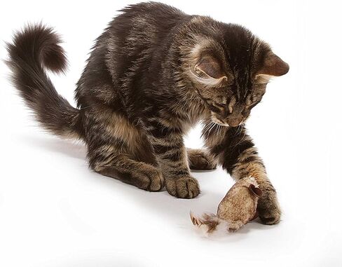 OurPet's Play-N-Squeak Twice the Mice Cat Toy, 2pc (Interactive Catnip Toy, Real Mouse Electronic Sound) in Saudi Arabia