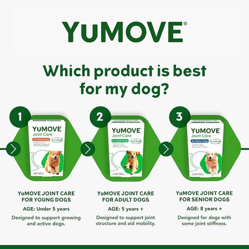 Hip and Joint Supplement for Dogs with Glucosamine, Green Lipped Mussel, Chondroitin, MSM, Omega 3 & Hyaluronic Acid - Joint Support Supplement - for Adult Dogs 300 Tablets in Saudi Arabia