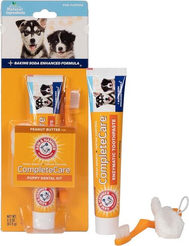 ARM & Hammer for Pets Complete Care Cat & Kitten Dental Kit | يتضمن 2.5 أوقية معجون أسنان القط الأنزيمي ، وفرشاة أسنان القط ، وفرشاة إصبع المطاط للقطط in Kuwait