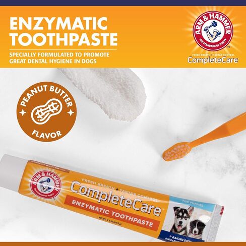 ARM & Hammer for Pets Complete Care Cat & Kitten Dental Kit | يتضمن 2.5 أوقية معجون أسنان القط الأنزيمي ، وفرشاة أسنان القط ، وفرشاة إصبع المطاط للقطط in Kuwait