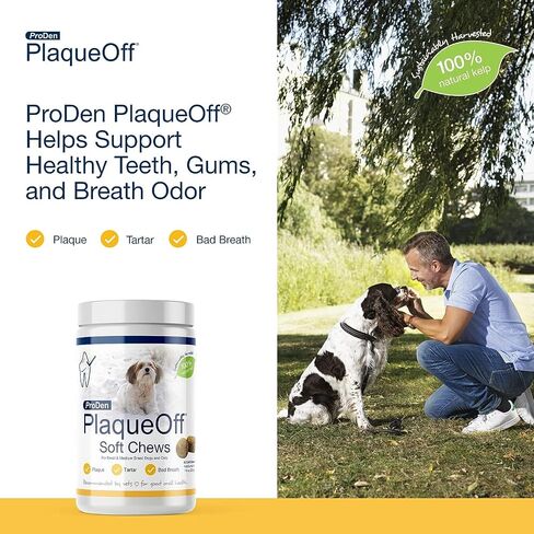 ProDen PlaqueOff Soft Chews with Natural Kelp - for Small & Medium Breed Dogs & Cats - Supports Normal, Healthy Teeth, Gums, and Breath Odor in Dogs & Cats - 90 Soft Chews in Kuwait