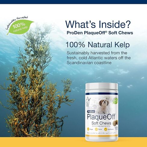 ProDen PlaqueOff Soft Chews with Natural Kelp - for Small & Medium Breed Dogs & Cats - Supports Normal, Healthy Teeth, Gums, and Breath Odor in Dogs & Cats - 90 Soft Chews in Kuwait
