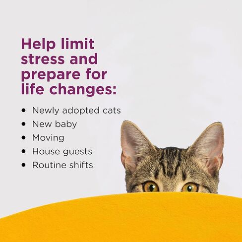 Comfort Zone Cat Calming Diffuser Refill, 6 Pack of 30-day refills in Saudi Arabia
