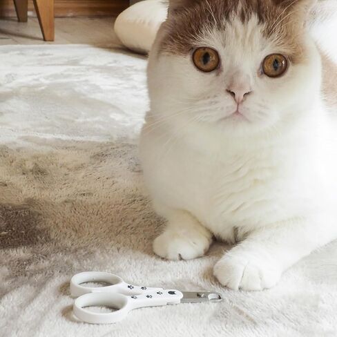 Necoichi Purrcision Stainless Steel Cat Nail Clipper, Made in Japan (Gray) in Kuwait