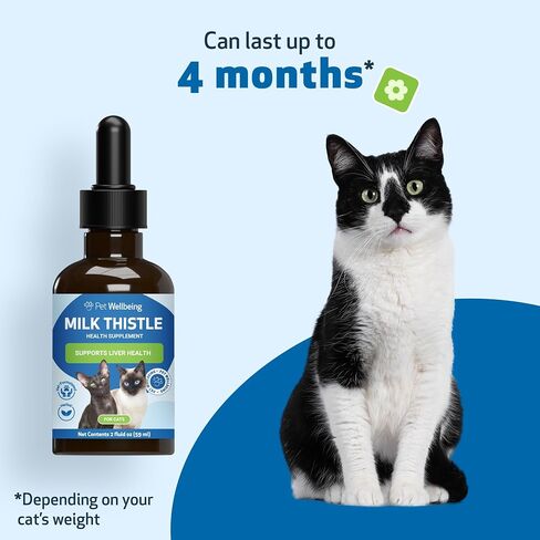 Pet Wellbeing Milk Thistle for Cats - Organic, Supports Liver Health, Healthy Detoxification, Antioxidants, Liver Cell Support, Silymarins - Veterinarian-Formulated Herbal Supplement - 4 oz (118 ml) in Kuwait
