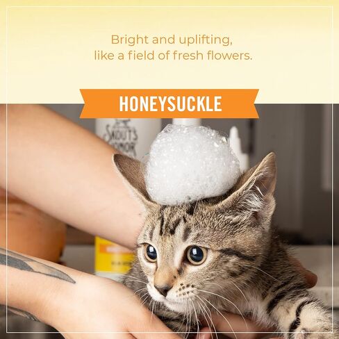 Skout's Honor Probiotic Cat Shampoo & Conditioner with Avocado Oil & Omega-3s, 97% Natural, Paraben & Sulfate-Free, Cruelty-Free, 16oz, Honeysuckle in Saudi Arabia