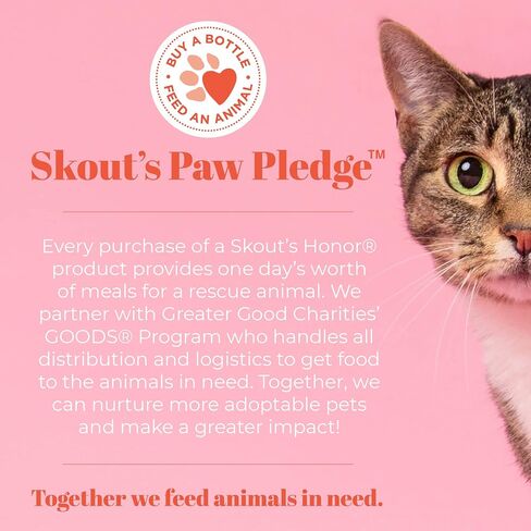 Skout's Honor Probiotic Cat Shampoo & Conditioner with Avocado Oil & Omega-3s, 97% Natural, Paraben & Sulfate-Free, Cruelty-Free, 16oz, Honeysuckle in Saudi Arabia