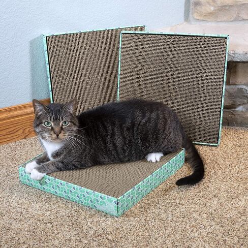 Kitty City XL Wide Cat Scratchers 3 قطع ، خدش القط ، وسادة خدش القط ، مقاطع الأبواب ، حماة الأثاث من خدش القط in Kuwait