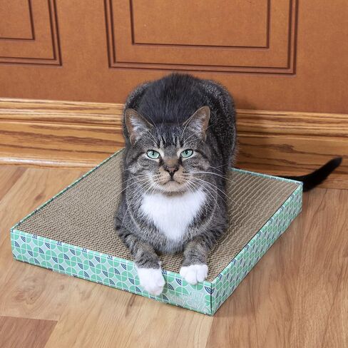 Kitty City XL Wide Cat Scratchers 3 قطع ، خدش القط ، وسادة خدش القط ، مقاطع الأبواب ، حماة الأثاث من خدش القط in Kuwait