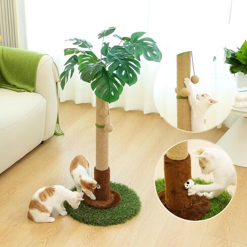 Cat Scratching Post for Indoor Cats and Kitten - 35.43" Tall Cat Scratching Post with Sisal Rope,Palm Tree Cat Scratch Post with Hanging Ball in Saudi Arabia