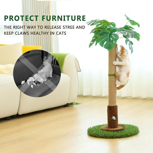 Cat Scratching Post for Indoor Cats and Kitten - 35.43" Tall Cat Scratching Post with Sisal Rope,Palm Tree Cat Scratch Post with Hanging Ball in Saudi Arabia