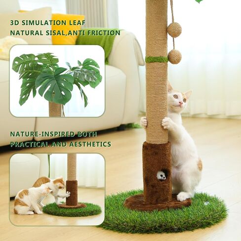 Cat Scratching Post for Indoor Cats and Kitten - 35.43" Tall Cat Scratching Post with Sisal Rope,Palm Tree Cat Scratch Post with Hanging Ball in Saudi Arabia