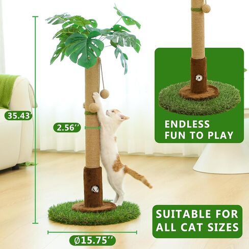 Cat Scratching Post for Indoor Cats and Kitten - 35.43" Tall Cat Scratching Post with Sisal Rope,Palm Tree Cat Scratch Post with Hanging Ball in Saudi Arabia