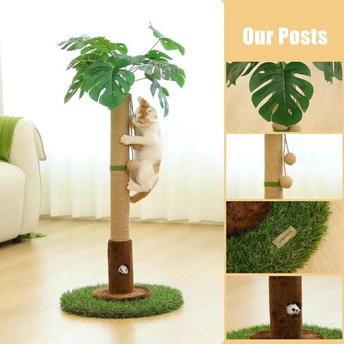 Cat Scratching Post for Indoor Cats and Kitten - 35.43" Tall Cat Scratching Post with Sisal Rope,Palm Tree Cat Scratch Post with Hanging Ball in Saudi Arabia