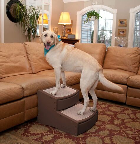Pet Gear Easy Step II Extra Wide Pet Stairs, 2 Step for Dogs/Cats up to 200 pounds, Removable/Washable Carpet, Easy Assembly (No Tools Required), Camel in Kuwait