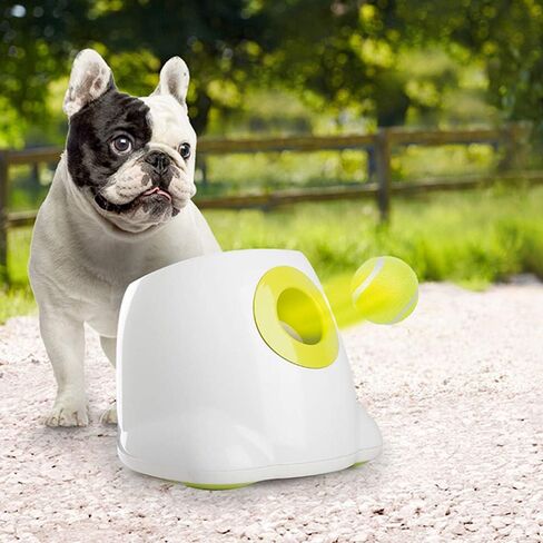ALL FOR PAWS Automatic Dog Ball Launcher for Medium to Large Dogs, Interactive Dog Ball Thrower Mental Stimulation Dog Toys, Dog Tennis Ball Machine with Standard Tennis Balls, Rechargable & Reliable in Kuwait
