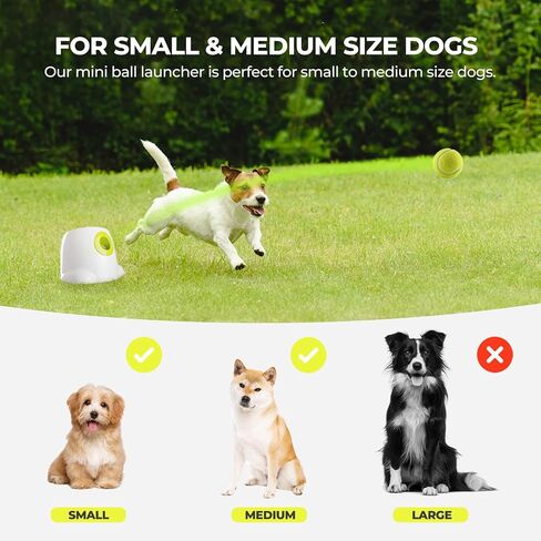 ALL FOR PAWS Automatic Dog Ball Launcher for Medium to Large Dogs, Interactive Dog Ball Thrower Mental Stimulation Dog Toys, Dog Tennis Ball Machine with Standard Tennis Balls, Rechargable & Reliable in Kuwait