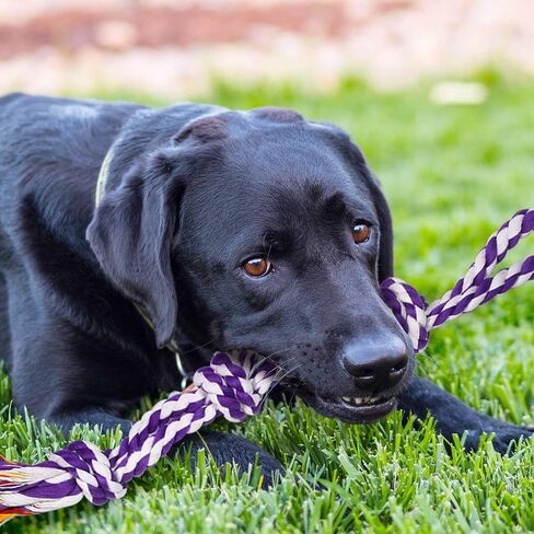 Dog Rope Toy for Large Dogs, Heavy Duty Dog Chew Toys for Aggressive Chewers, Indestructible Dog Toys for Large Dogs, Durable Cotton Tug of War Dog Rope Toys for Medium to Large Breed Teeth Cleaning in Kuwait