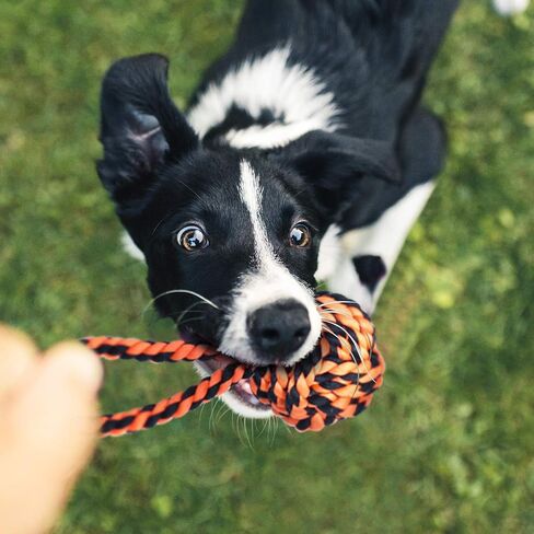 Dog Rope Toy for Large Dogs, Heavy Duty Dog Chew Toys for Aggressive Chewers, Indestructible Dog Toys for Large Dogs, Durable Cotton Tug of War Dog Rope Toys for Medium to Large Breed Teeth Cleaning in Kuwait