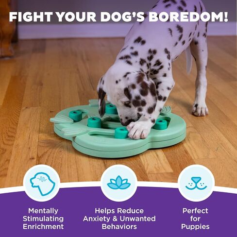 Outward Hound by Nina Ottosson Dog Hide N' Slide Treat Puzzle Enrichment Toy, Level 2 Intermediate, Purple, Composite in Kuwait