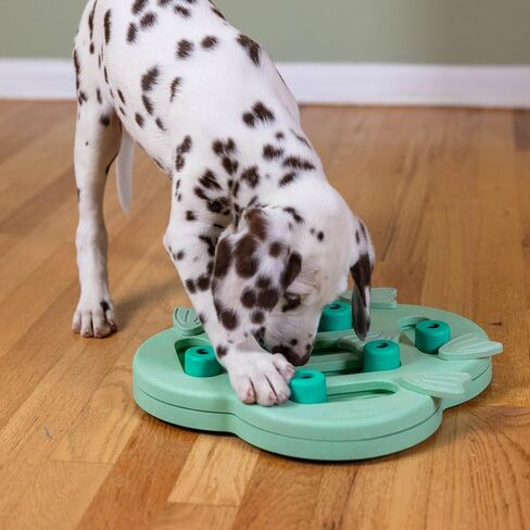 Outward Hound by Nina Ottosson Dog Hide N' Slide Treat Puzzle Enrichment Toy, Level 2 Intermediate, Purple, Composite in Kuwait