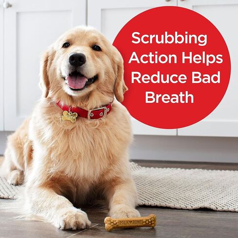 Milk-Bone Brushing Chews Daily Dental Dog Treats, Chicken Flavor, Large, 25 Count in Kuwait