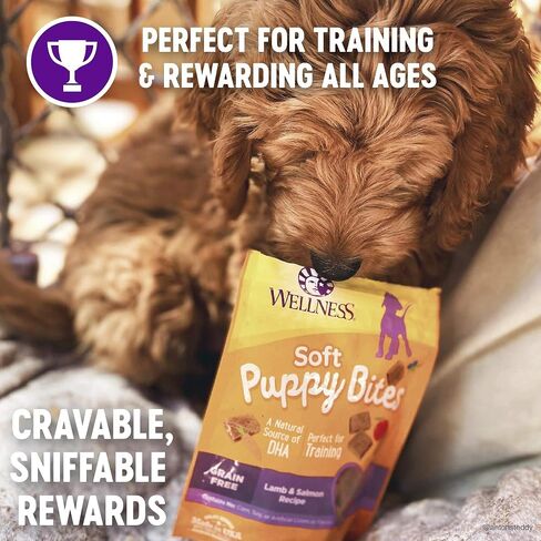 Wellness Soft Puppy Bites Dog Training Treats, Natural, Grain Free, Lamb and Salmon Recipe, 8 oz Bag in Kuwait