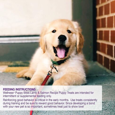 Wellness Soft Puppy Bites Dog Training Treats, Natural, Grain Free, Lamb and Salmon Recipe, 8 oz Bag in Kuwait