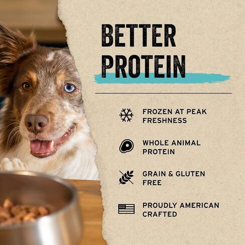 Vital Essentials Freeze Dried Raw Single Ingredient Dog Treats, Minnows, 1 oz | Premium Quality High Protein Training Treats | Grain Free, Gluten Free, Filler Free in Saudi Arabia