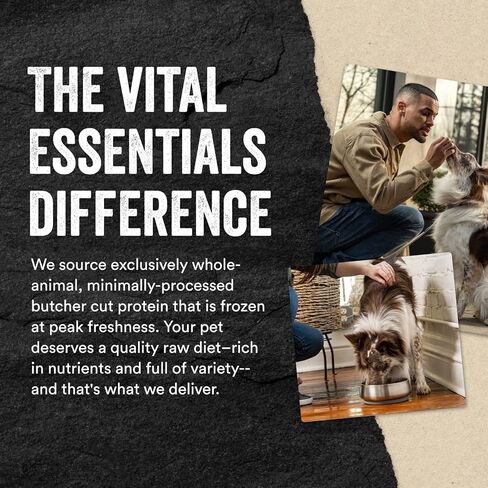 Vital Essentials Freeze Dried Raw Single Ingredient Dog Treats, Minnows, 1 oz | Premium Quality High Protein Training Treats | Grain Free, Gluten Free, Filler Free in Saudi Arabia