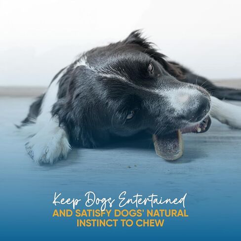 | Hooves for Dogs (25 Count) | 100% Natural Long-Lasting Beef Dog Treats Made from Beef Hoof | from Free Range, Grass Fed Cattle with NO Additives, Coloring or Chemicals. in Saudi Arabia