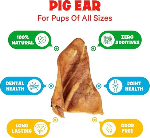 Whole Pig Ears for Dogs Large - 100 Pack Long Lasting Dog Chews - One Ingredient Delicious All Natural Flavor – Easy to Digest Dog Treat for Large Dogs - Great for Teeth and Gums in Kuwait