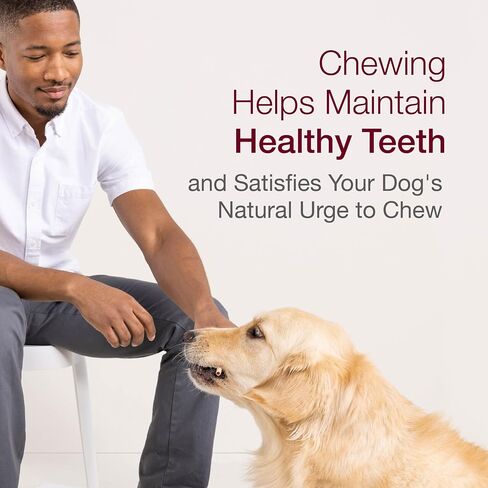 SmartBones SmartSticks, Treat Your Dog to a Rawhide-Free Chew Made With Real Chicken and Vegetables, 10 sticks in Saudi Arabia
