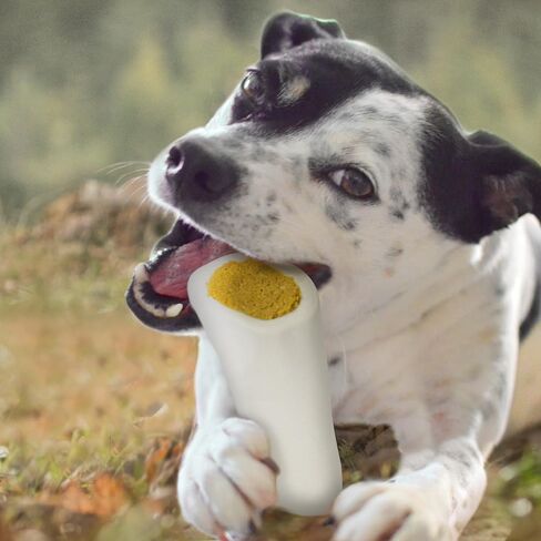 Cadet Stuffed Shin Bone - Highly Digestible, High Protein, Long-Lasting Dog Chew Bone for Aggressive Chewers, Supports Dental Health, - Peanut Butter Flavor, Large (1 Count) in Saudi Arabia