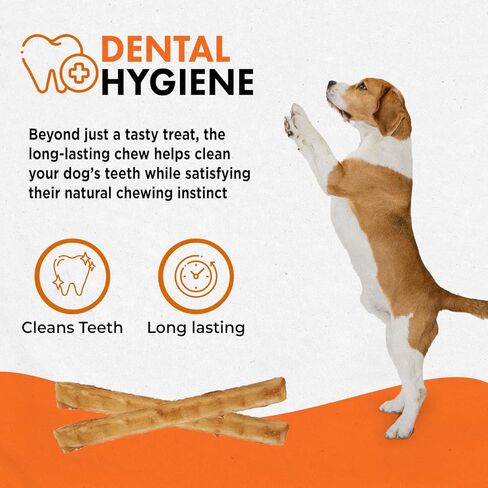 Canine Naturals Chicken Recipe Chew - Rawhide Free Dog Treats - Made From USA Raised Chicken - All-Natural and Easily Digestible - 40 Pack of 5 Inch Stick Chews in Kuwait