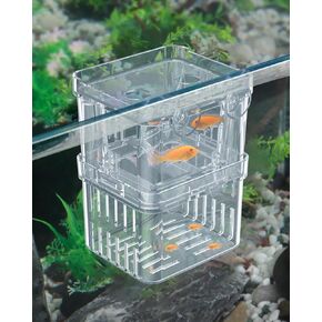 Pawfly Aquarium Fish Breeding Box Transparent Plastic Breeder Box for Fish Tank, Fry Hatchery Incubator Hatching Box for Baby Fish Shrimp Betta Clownfish Isolation Box for Aggressive Fish Guppy, Large