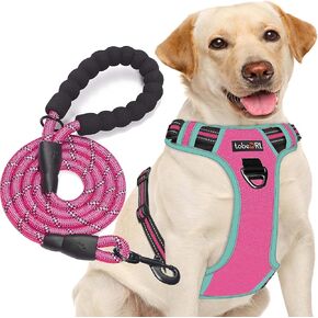 No Pull Dog Harness Adjustable Reflective Oxford Easy Control Medium Large Dog Harness with A Free Heavy Duty 5ft Dog Leash (L (Neck: 18"-25.5", Chest: 24.5"-33"), Blue Harness+Leash)