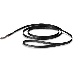 PetSafe Nylon Dog Leash – Strong, Durable, Traditional Style Leash with Easy to Use Bolt Snap for Small, Medium and Large Dogs – 3/8" x 6', Black