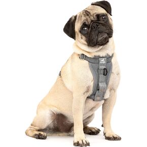 Kurgo Enhanced Strength Tru-Fit Smart Dog Harness, Black, Large - Crash Tested Car Safety Harness for Dogs, No Pull Dog Harness, Includes Pet Safety Seat Belt Tether