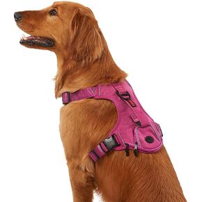 KONG Ultra Durable Waste Bag Harness (Large, Pink)