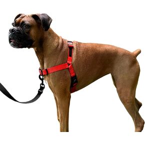 ShawnCo Dream Walk No-Pull Dog Harness- Adjustable, Comfortable, Easy to Use Pet Halter to Help Stop Pulling for Small, Medium and Large Dogs (ICY Lilac, M)