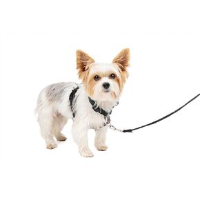 PetSafe 3 in 1 Dog Harness - No Pull Solution for Dogs - Reflective Dog Harness - Front D-Ring Clip Helps Stop Pulling - Comfortable Padded Straps - Top Handle Enhances Control - Teal - Medium