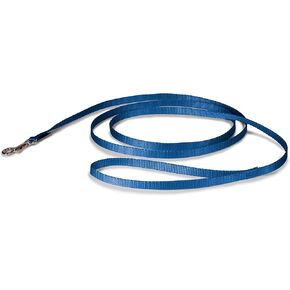 PetSafe Nylon Dog Leash – Strong, Durable, Traditional Style Leash with Easy to Use Bolt Snap for Small, Medium and Large Dogs – 3/8" x 6', Royal Blue