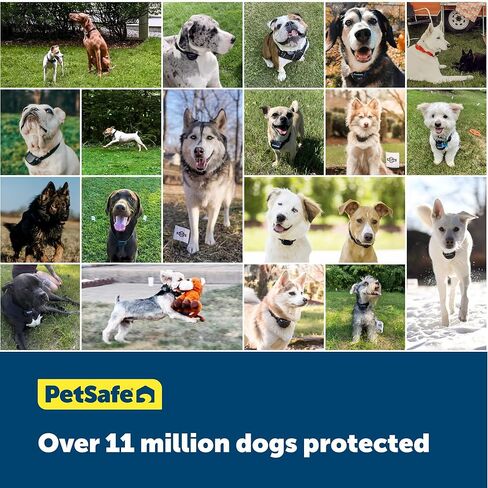 PetSafe Wireless Pet Containment System Receiver Collar for Dogs, Wireless Dog Collar Waterproof Material, Fits Small, Medium, Large Pets, Electric Fence Receiver Collars (Red and Black) in Kuwait