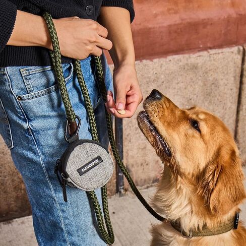 Snackpack Double Insulated Dog Treat Pouch - Holds 1.5 Cups - Dog Training and Walks Snack Bag, Two Pockets for Dry or Wet Treats, Attaches to Leash, Belt, or Bag - Graphite in Saudi Arabia
