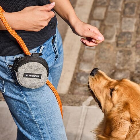Snackpack Double Insulated Dog Treat Pouch - Holds 1.5 Cups - Dog Training and Walks Snack Bag, Two Pockets for Dry or Wet Treats, Attaches to Leash, Belt, or Bag - Graphite in Saudi Arabia