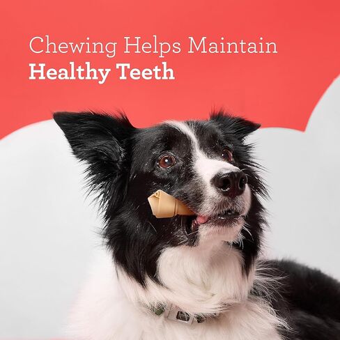 DreamBone Vegetable & Chicken Dog Chews, Rawhide Free, Small, 10-Count in Kuwait