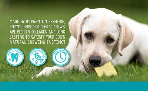 | Enzyme Enriched Dental Care Dog Chews | Dog Dental Chews | Medium/Large | Aprox. 30 Chews in Saudi Arabia
